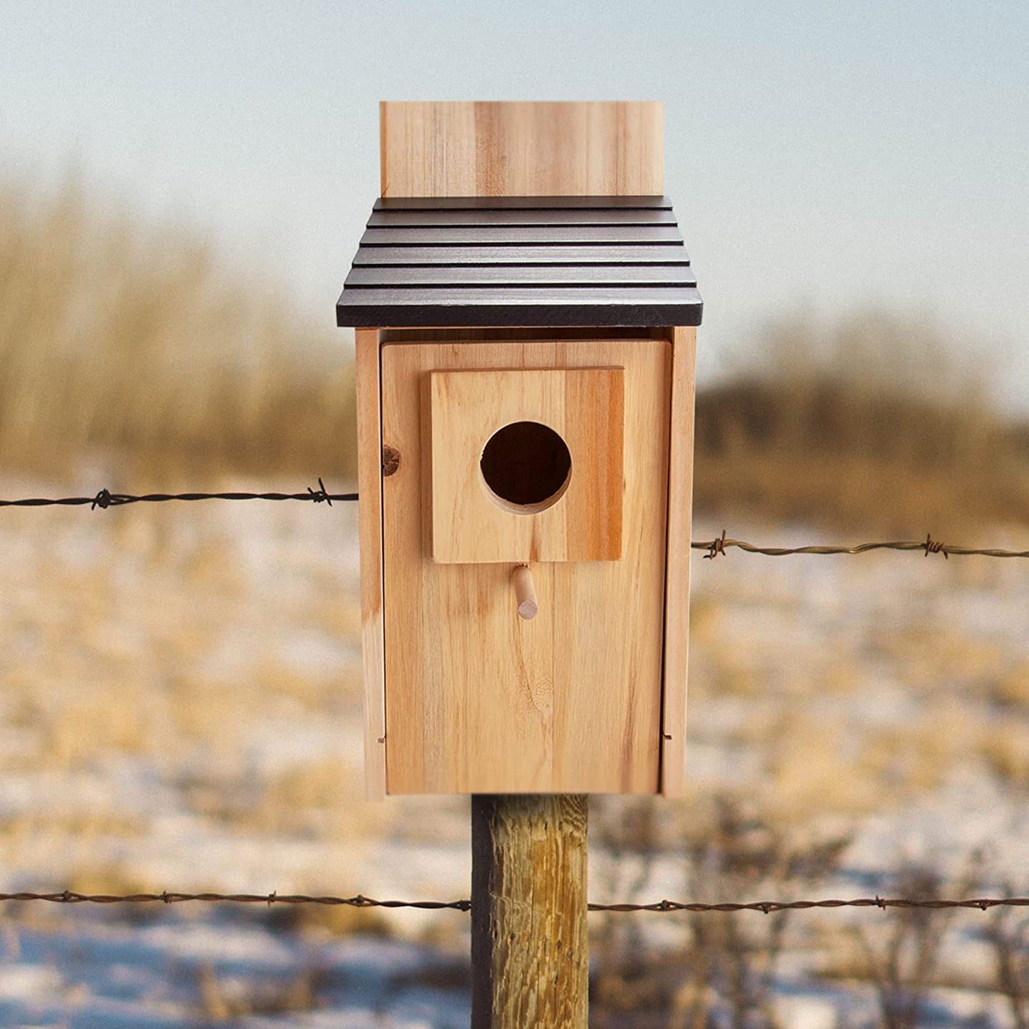 CARTMAN Cedar Blue Bird Box House, Wood Bird Houses for Outside, Hummingbird House for Outside Clearance Garden Country Cottages