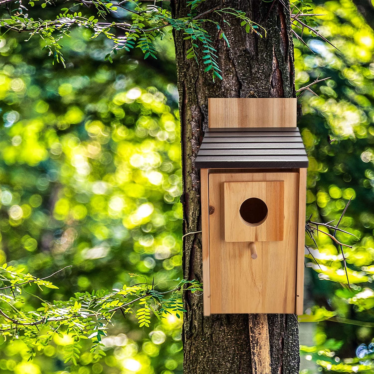 CARTMAN Cedar Blue Bird Box House, Wood Bird Houses for Outside, Hummingbird House for Outside Clearance Garden Country Cottages